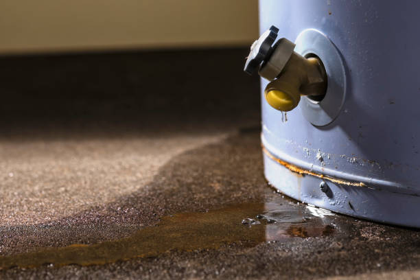 Best Local water damage restoration  in Flemington, GA