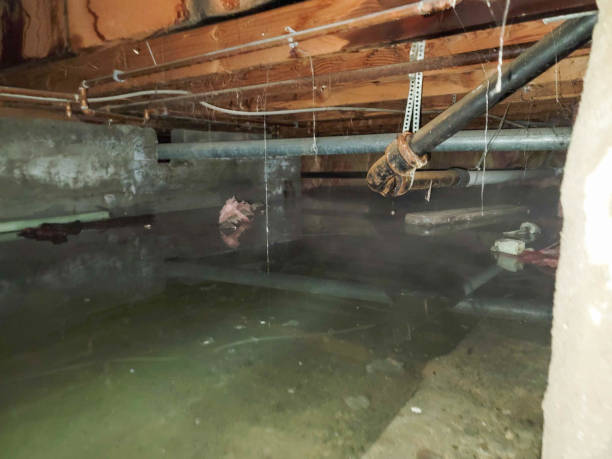 Best 24-hour water damage restoration  in Flemington, GA