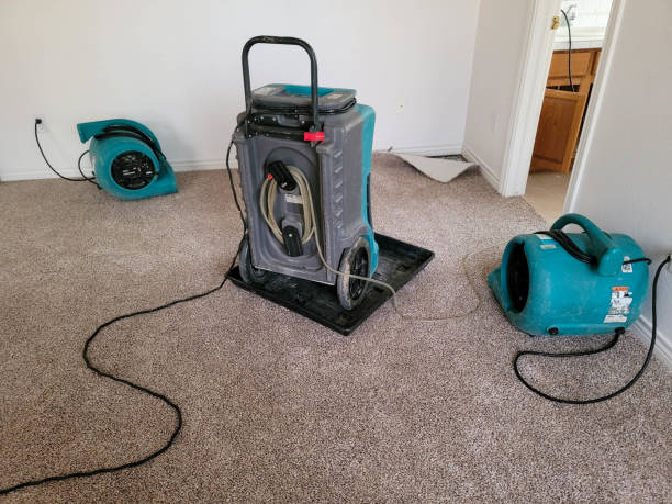  Flemington, GA Water damage restoration Pros