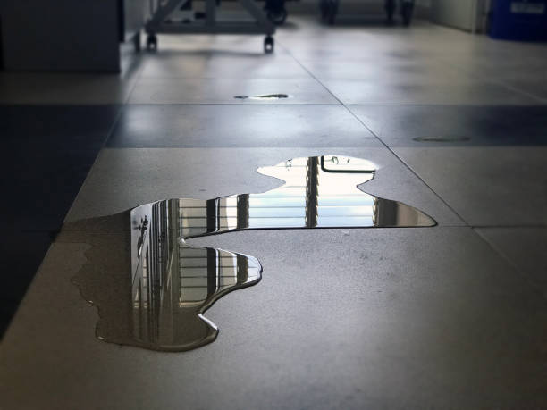 Best Professional water damage repair  in Flemington, GA