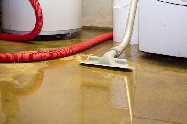 Best Flooded house restoration  in Flemington, GA