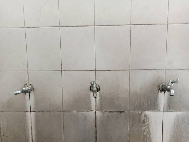 Best Water damage restoration near me  in Flemington, GA
