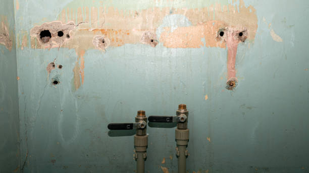 Best Water damage restoration near me  in Flemington, GA