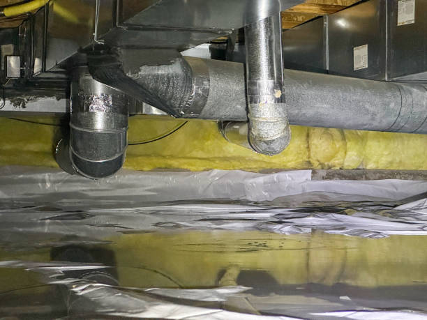 Best Water damage cleanup near me  in Flemington, GA