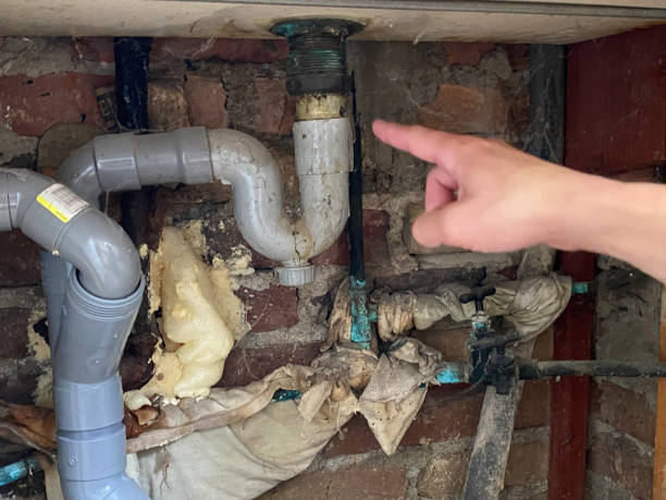 Best Sewage cleanup and water damage restoration  in Flemington, GA