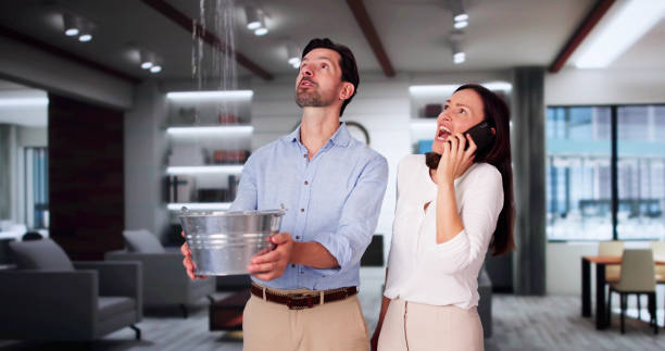Best Carpet water damage restoration  in Flemington, GA