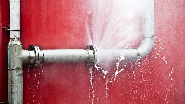 Best Flood restoration services  in Flemington, GA