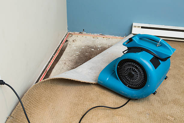 Best Water damage restoration experts  in Flemington, GA